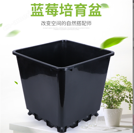 塑料花盆栽容器 小盆栽加仑控根透气种植盆 加厚材质